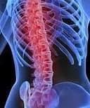 Rosiris Janer Pereira