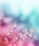 Alicia Quiroga Echeverri