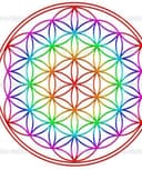 Luisa Marcela Alvarez Tobos