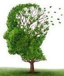 Lia Oliveros Charris