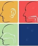 Tonny  Alberto Torres  Tabares