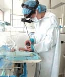 Carolina Bernal Hernandez