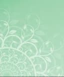 Edith Patricia Galeano Villamizar