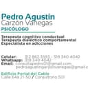 Pedro  Agustin Garzon  Vanegas