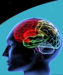 María Angélica De La Hoz