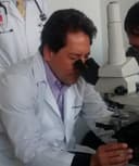 Marco Antonio Grajales Buitrago